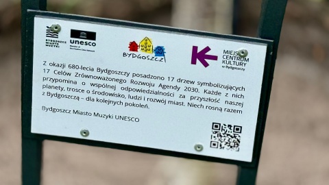 Szlak 17 drzew powstał w Bydgoszczy/fot. Izabela Langner