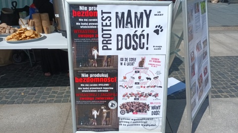 Mamy dość bezsensownego cierpienia zwierząt - głosili uczestnicy sobotniego protestu w Bydgoszczy/fot. Monika Siwak