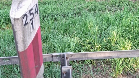 Przez pół godziny obowiązywał w tym miejscu ruch wahadłowy. / Fot. KM PSP Toruń