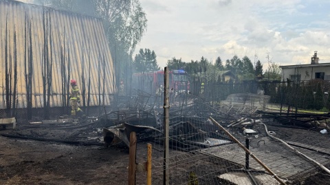 Pożar na działkach w Koronowie/fot. KM PSP Bydgoszcz