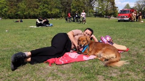 Miłośnicy czworonogów spotkali się na Pikniku Dobrych Psów i Ludzi na polanie Różopole w bydgoskim Myślęcinku/fot. Tatiana Adonis