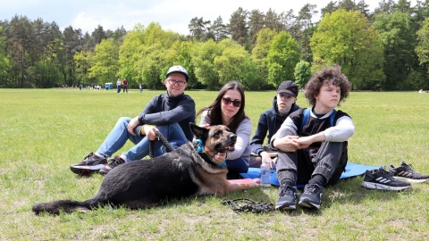 Miłośnicy czworonogów spotkali się na Pikniku Dobrych Psów i Ludzi na polanie Różopole w bydgoskim Myślęcinku/fot. Tatiana Adonis