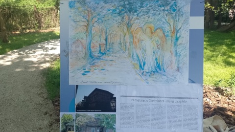 Park kieszonkowy poświęcony Małgorzacie Iwanowskiej-Ludwińskiej otwarto w Toruniu. Zakopano też kapsułę pamięci/fot. Michał Zaręba