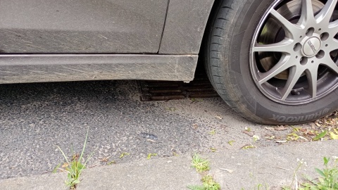 Tak wyglądała akcja ratowania małych kaczek. / Fot. Patrol Eko Toruń