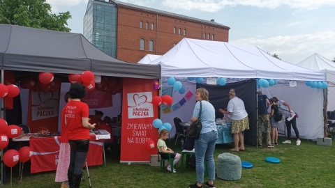 Piknik NGOsów odbył się na Wyspie Młyńskiej. / Fot. Monika Siwak