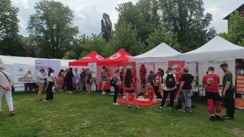 Piknik NGOsów odbył się na Wyspie Młyńskiej. / Fot. Monika Siwak