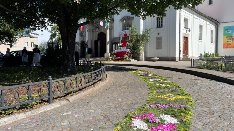 Tak prezentuje się dywan z kwiatów w Parafii pw. Najświętszego Serca Pana Jezusa w Bydgoszczy. / Fot. Natasza Trzebuchowska