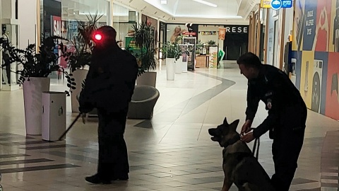 Psy tropiące Galerii Pomorskiej w Bydgoszczy. Byliśmy na nocnych ćwiczeniach służb/fot. Mikołaj Tetzlaff