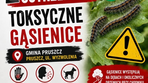 Uwaga na gąsienice w gminie Pruszcz/fot. nadesłane
