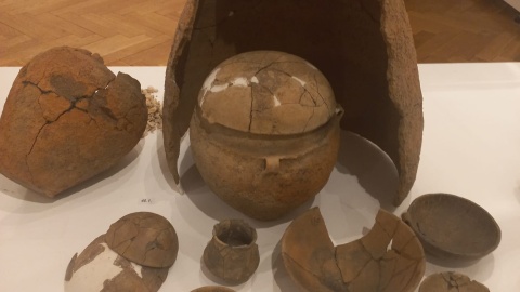 „Autostradą do przeszłości” - wystawa archeologiczna we włocławskim muzeum/fot. Marek Ledwosiński