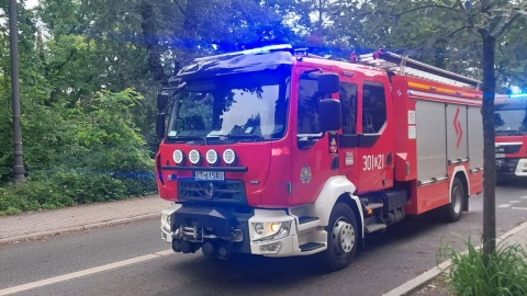 Na terenie przedszkola „Kolorowe Nutki" w Bydgoszczy runęło drzewo/fot. Dorota Witt