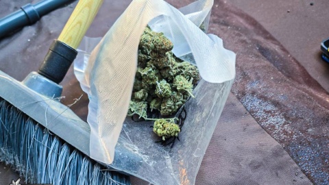 Zabezpieczono około 2 kg narkotyków, w tym ziele konopi innych niż włókniste, MDMA, amfetaminę, 3-CMC i inne/ Fot. CBŚP