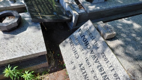 Dewastacja nagrobków na toruńskim cmentarzu przy ul. Wybickiego/fot. Michał Zaręba