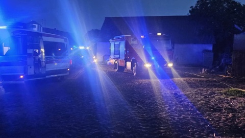 W powiecie aleksandrowskim utonął 54-letni mężczyzna/fot. WOPR Włocławek