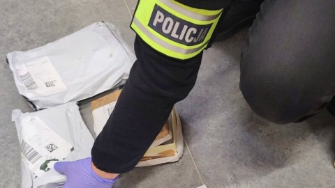 Substancje znalezione w przesyłkach na terenie Pomorza i Kujaw/fot. KWP Bydgoszcz