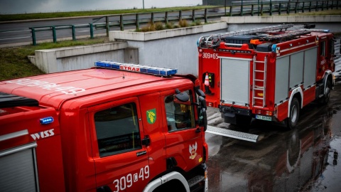 W regionie strażacy interweniowali 180 razy /fot. Izabela Langer