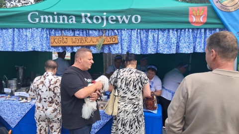 Kruszwickie Nowalijki/fot. Marcin Glapiak