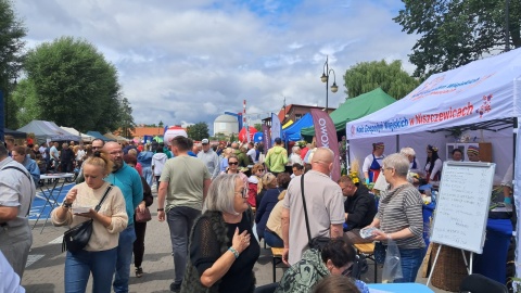 Kruszwickie Nowalijki/fot. Marcin Glapiak