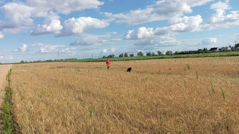 Szczęśliwy finał poszukiwań pod Złotnikami Kujawskimi /fot. Nadgoplańskie WOPR Kruszwica