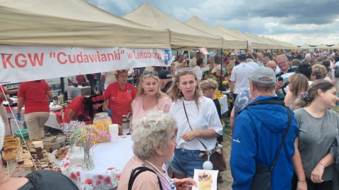 Sobota była ostatnim dniem Święta Powiatu Włocławskiego /fot. Radosław Jagieła