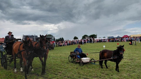 Dzień Konia w Płużnicy. / Fot. Michał Zaręba