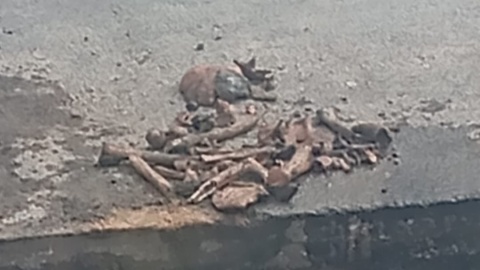 Ludzkie szczątki odkryto w centrum Pakości/fot. nadesłane