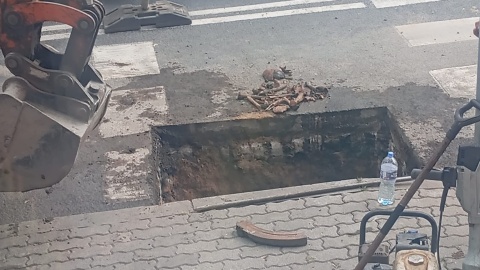 Ludzkie szczątki odkryto w centrum Pakości/fot. nadesłane