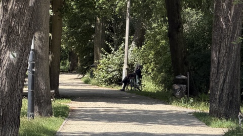 W Wakacyjnym przewodniku po regionie wybraliśmy się nad Kanał Bydgoski /fot. Tomasz Kaźmierski