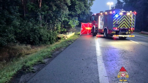 Wypadek w Brzozie niedaleko Torunia/ Fot. KM PSP w Toruniu