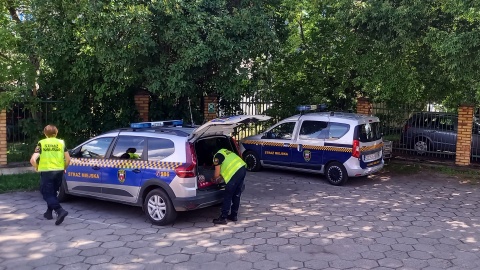 W Bydgoszczy potrzeba Animal Patrolu. Przekonuje o tym Stowarzyszenie Stukot i zbiera podpisy/ Fot. Tatiana Adonis