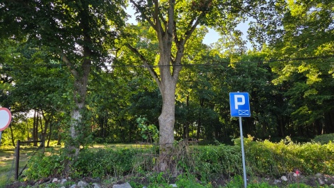 Po dawnej posiadłości z zamkiem został zabytkowy park. Właśnie trwają tam prace konserwatorskie/fot. Marcin Doliński