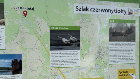 Na udany odpoczynek warto wybrać się do Wdeckiego Parku Krajobrazowego /fot. Tomasz Kaźmierski