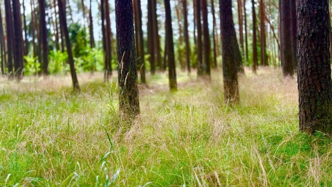 Polskie Radio PiK z wizytą w Cekcyńskim Młynie Inicjatyw/fot. Izabela Langner