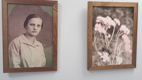 „Herbarium” to tytuł wystawy, którą oglądać można w Muzeum Fotografii w Bydgoszczy/ Fot. Bogumiła Wresiło