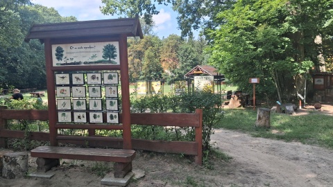Leśna Szkoła na Barbarce pod Toruniem to miejsce, które odwiedzamy w ramach „Wakacyjnego przewodnika po regionie"/fot. Iwona Muszytowska-Rzeszotek