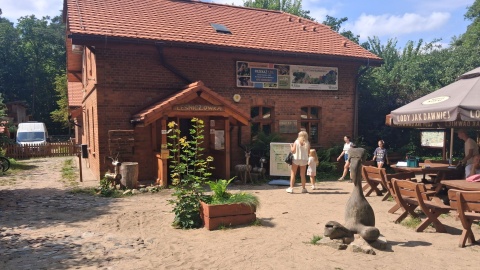Leśna Szkoła na Barbarce pod Toruniem to miejsce, które odwiedzamy w ramach „Wakacyjnego przewodnika po regionie"/fot. Iwona Muszytowska-Rzeszotek