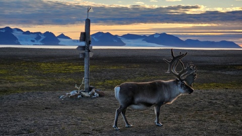 Zespół Organek i naukowcy toruńskiego UMK wyruszają wspólnie na Spitsbergen/fot. materiały organizatorów ekspedycji