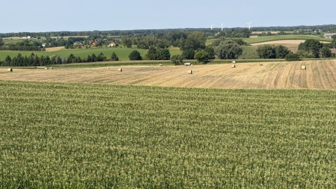 Byliśmy na tarasie widokowym pomnika Matki Bożej w Konotopiu /fot. Tomasz Bielicki