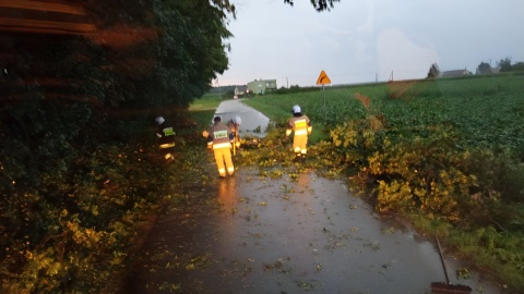 W nocy nad regionem wiał silny wiatr. Niszczył drzewa, słupy energetyczne i budynki/fot. OSP Wąpielno/Facebook