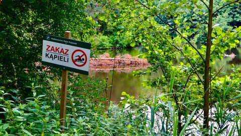 „Wakacyjny przewodnik po regionie" z lasu/fot. Izabela Langner