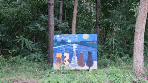 W piątek (14 sierpnia) w Brzózkach rozpocznie się trzydniowy Van Gogh Festival/ Fot. Adriana Andrzejewska-Kuras