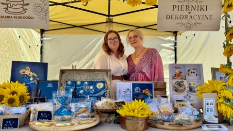 Polskie Radio PiK na Van Gogh Festival" w Brzózkach koło Szubina. /fot. Izabela Langner