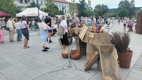 Festiwal Kultury Ulicy we Włocławku. / Fot. Radosław Jagieła