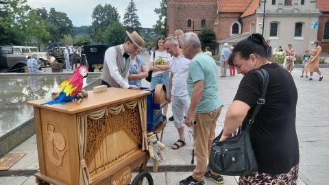Festiwal Kultury Ulicy we Włocławku. / Fot. Radosław Jagieła