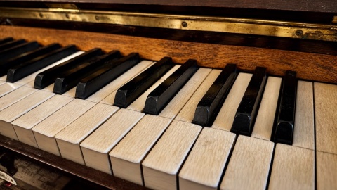 Pianola/fot. Izabela Langner