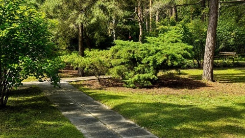 Odświeżony skwer w Myślęcinku już otwarty. /fot. Izabela Langner