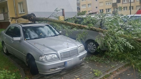 Strażacy interweniowali 870 razy w regionie. /fot. KM PSP Włocławek