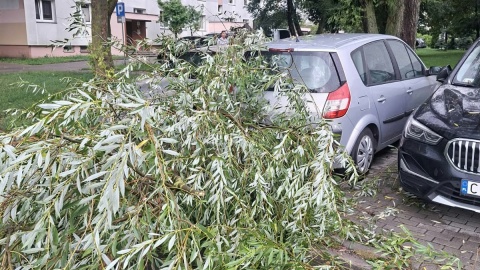 Strażacy interweniowali 870 razy w regionie. /fot. KM PSP Włocławek