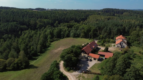 Górznieńsko-Lidzbarski Park Krajobrazowy. / Fot. Krzysztof Pokrętowski