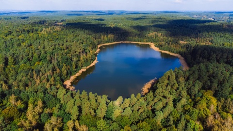 Górznieńsko-Lidzbarski Park Krajobrazowy. / Fot. Krzysztof Pokrętowski